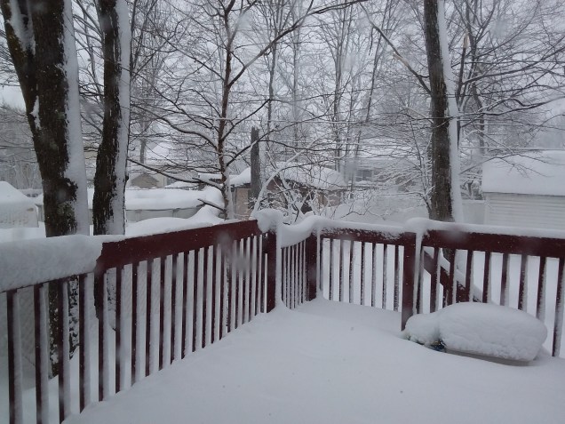 image-20200227_130143