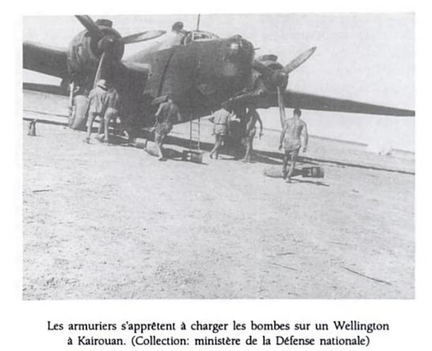 Wellington Kairouan 2