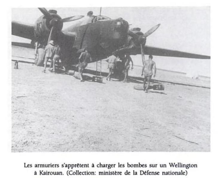 Wellington Kairouan 2