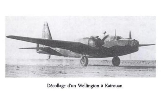 Wellington Kairouan